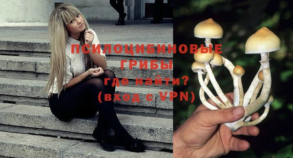 гидропоника Новокубанск