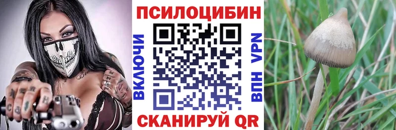 Галлюциногенные грибы GOLDEN TEACHER  Приморско-Ахтарск 
