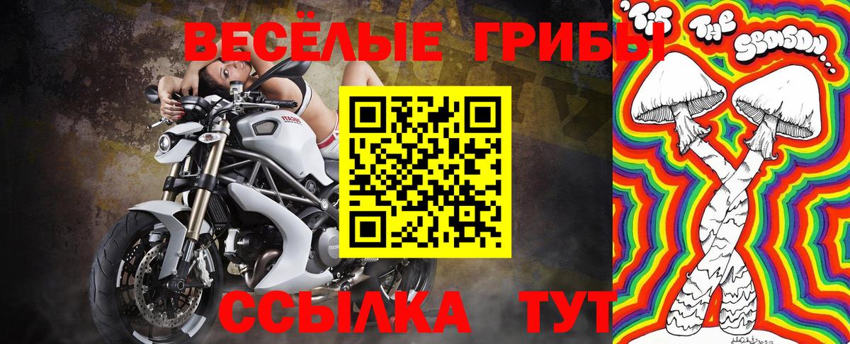 Псилоцибиновые грибы мухоморы  цены   Галлюциногенные грибы GOLDEN TEACHER  Приморско-Ахтарск  Вход с VPN 